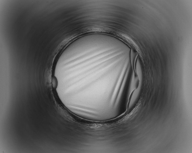 X0000092270938200710121338