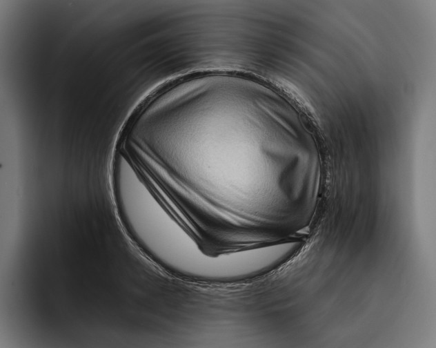 X0000092270942200710121338