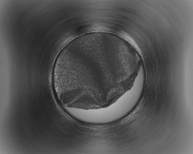 X0000092270946200710121338