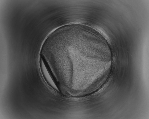 X0000092270948200710121338