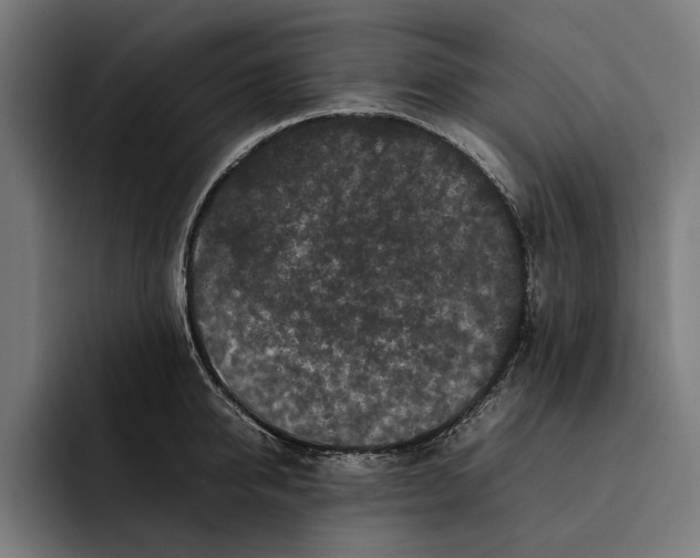 X0000092270950200710121338