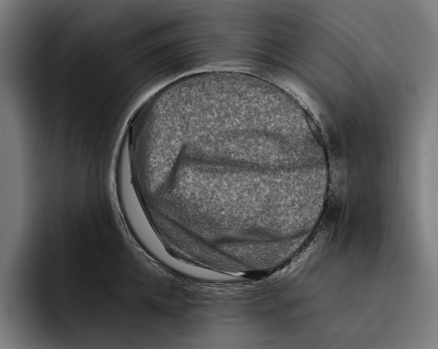 X0000092270952200710121338
