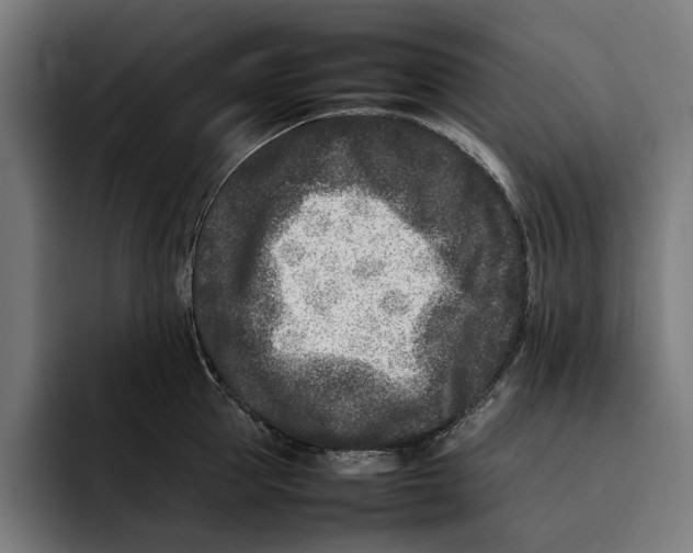 X0000092270953200710121338