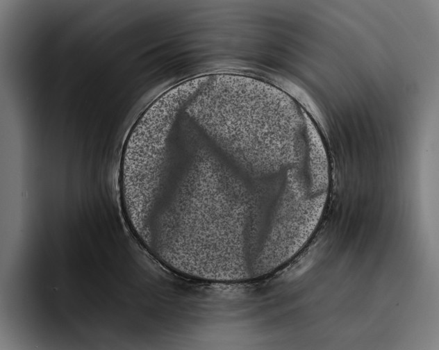 X0000092270954200710121338