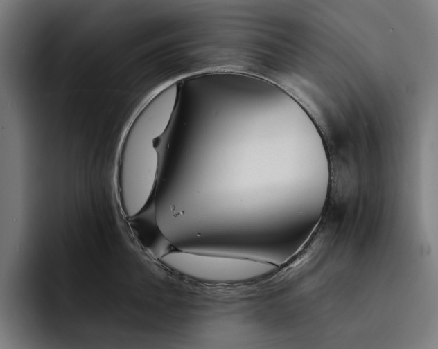 X0000092270956200710121338