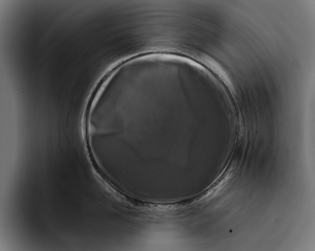 X0000092270958200710121338