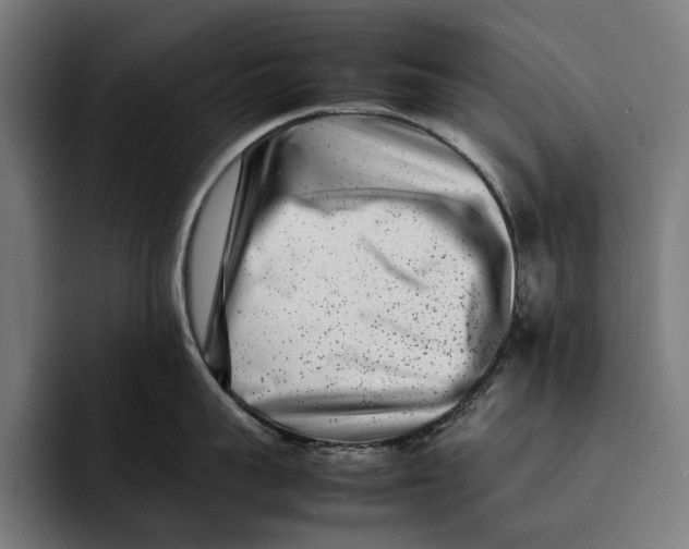 X0000092270959200710121338