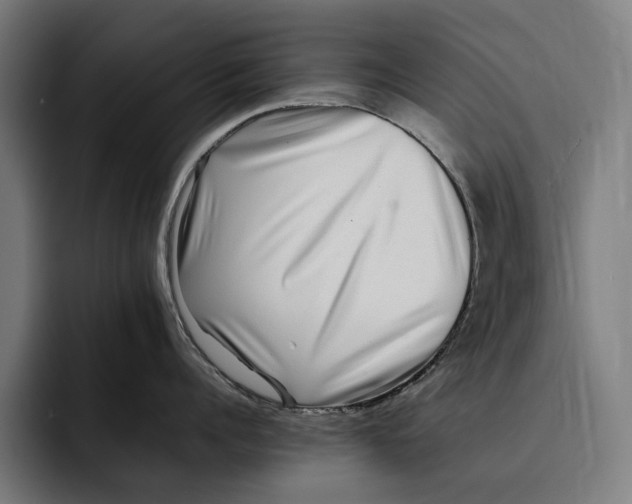 X0000092270960200710121338