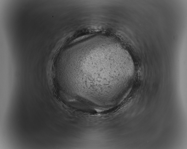 X0000092270961200710121337