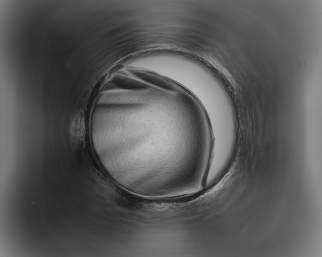 X0000092270969200710121337