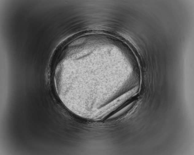 X0000092270971200710121337