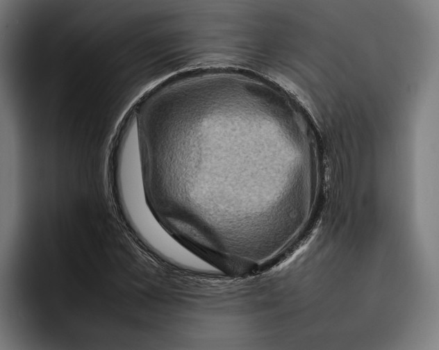 X0000092270973200710121337