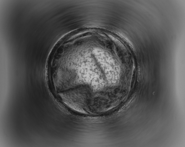 X0000092270976200710121337