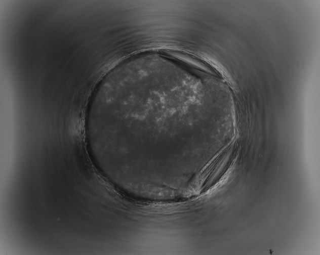 X0000092270977200710121337