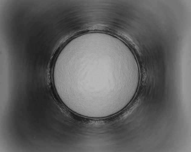 X0000092270978200710121337