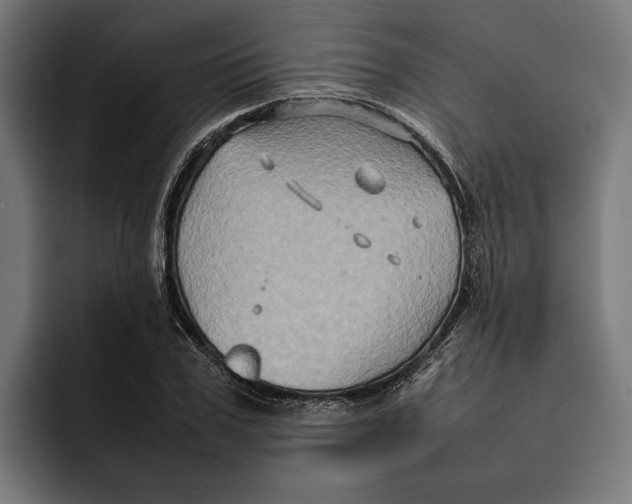 X0000092270979200710121337