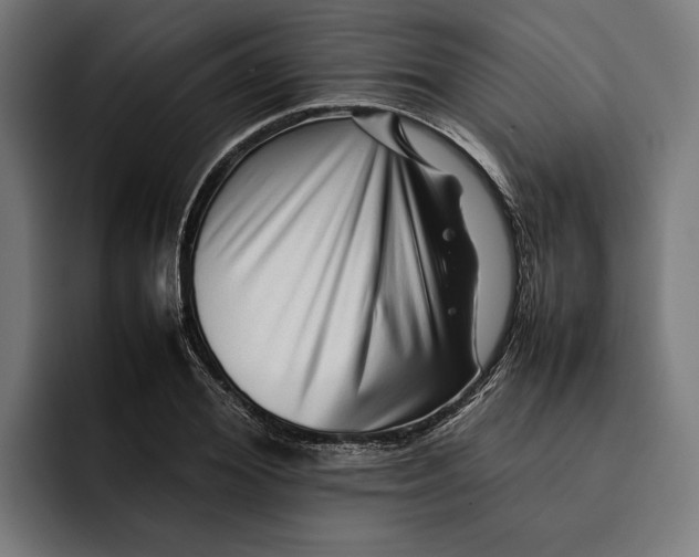 X0000092270980200710121337