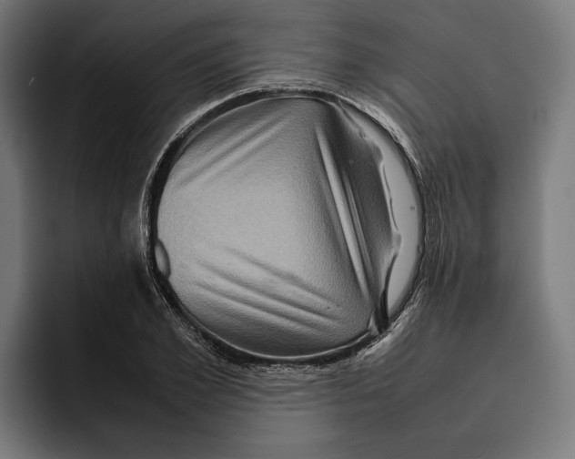 X0000092270981200710121337
