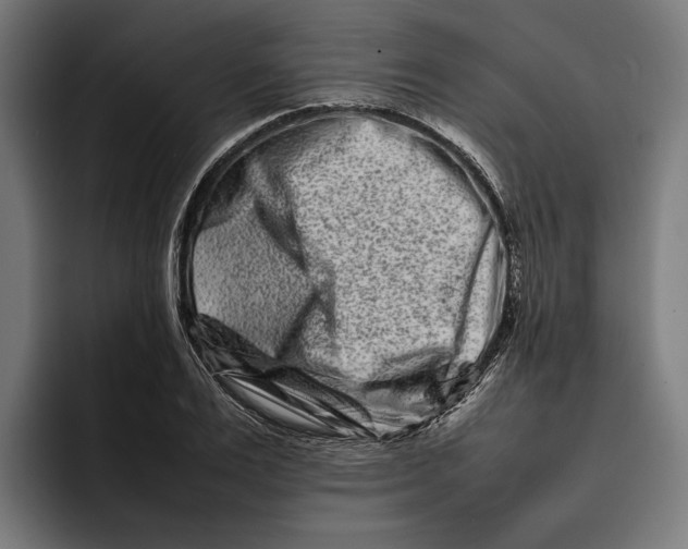 X0000092270983200710121337