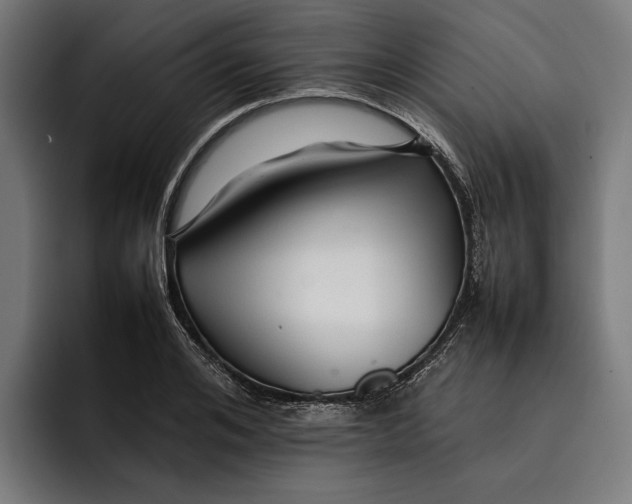 X0000092270984200710121337