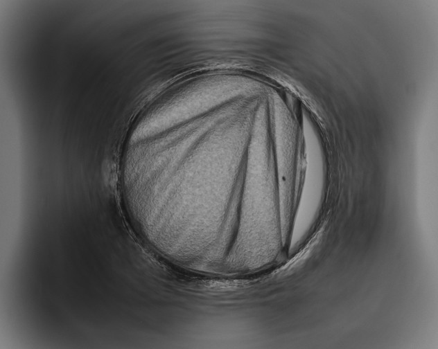 X0000092270985200710121337