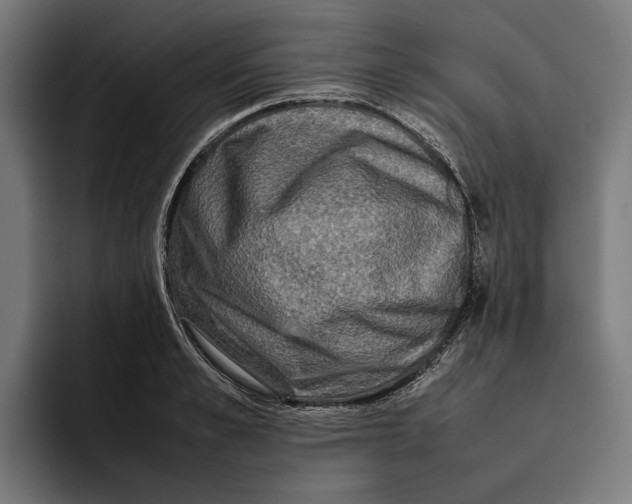 X0000092270989200710121337