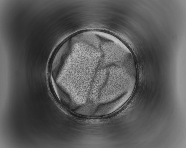 X0000092270990200710121337