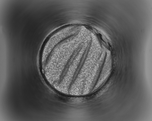 X0000092270991200710121337