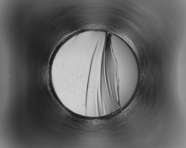 X0000092270992200710121337