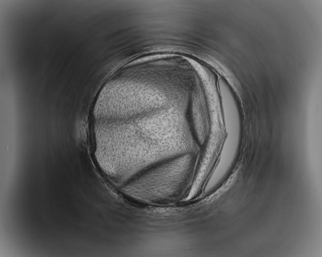 X0000092270993200710121337