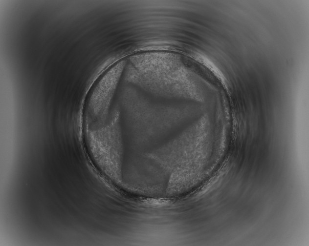 X0000092270994200710121337