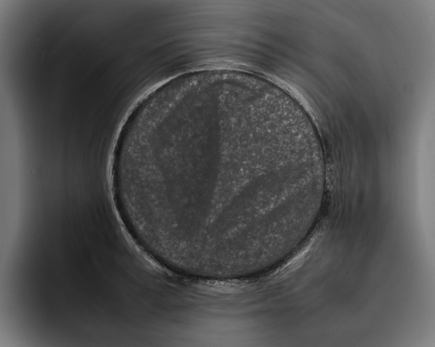 X0000092270995200710121337