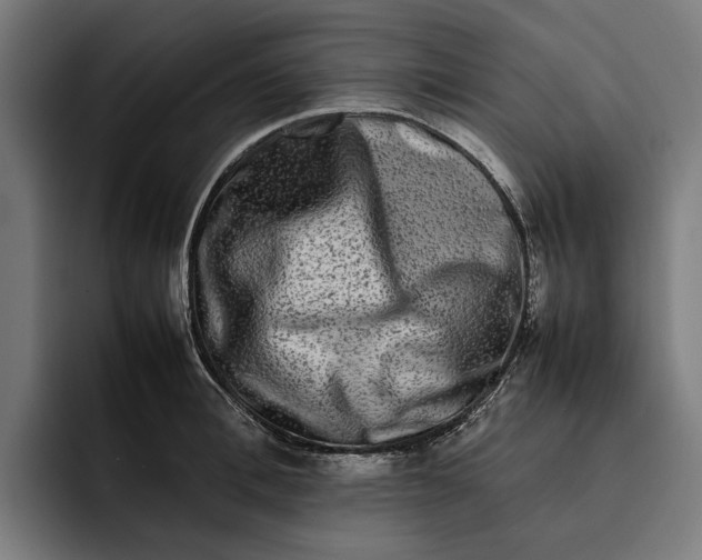 X0000092270996200710121337