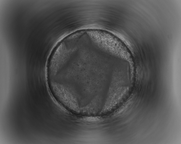 X0000092270998200710121337