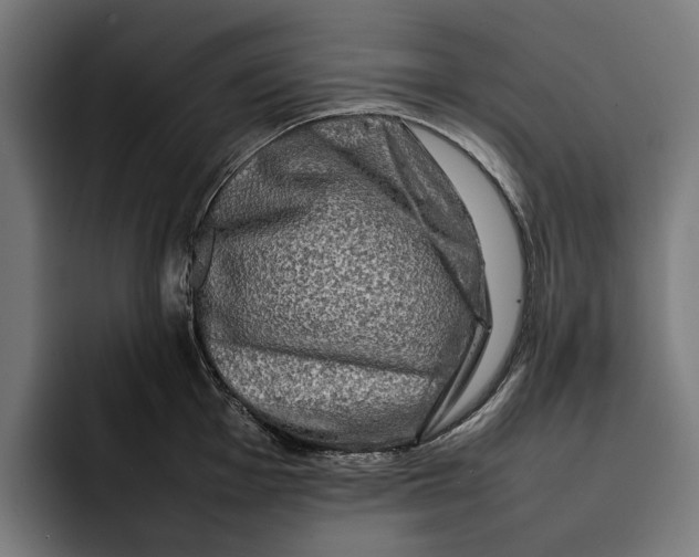 X0000092271001200710121337