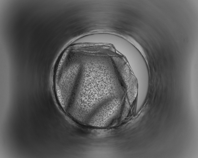 X0000092271005200710121337