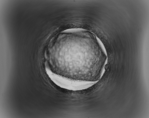 X0000092271009200710121336