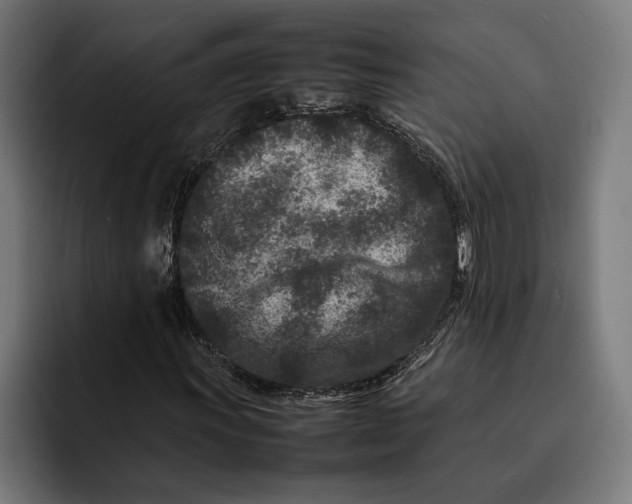 X0000092271011200710121336
