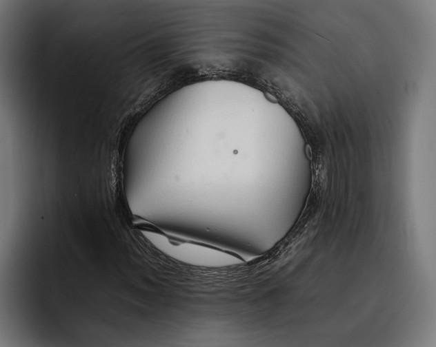 X0000092271012200710121336