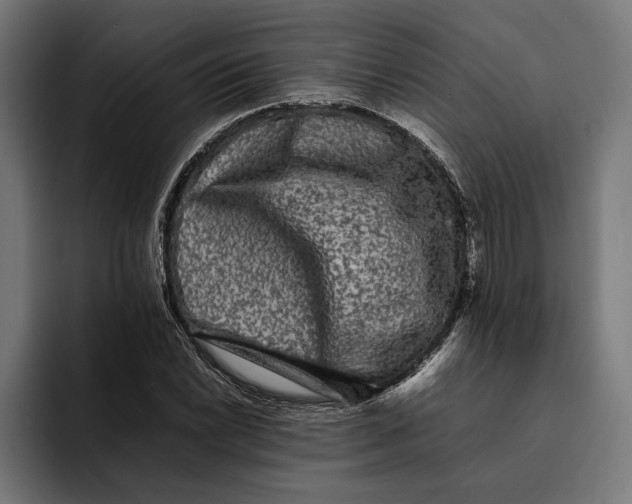 X0000092271022200710121336