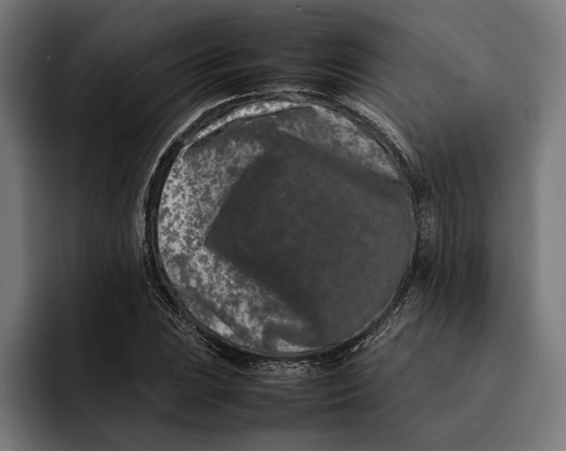 X0000092271023200710121336