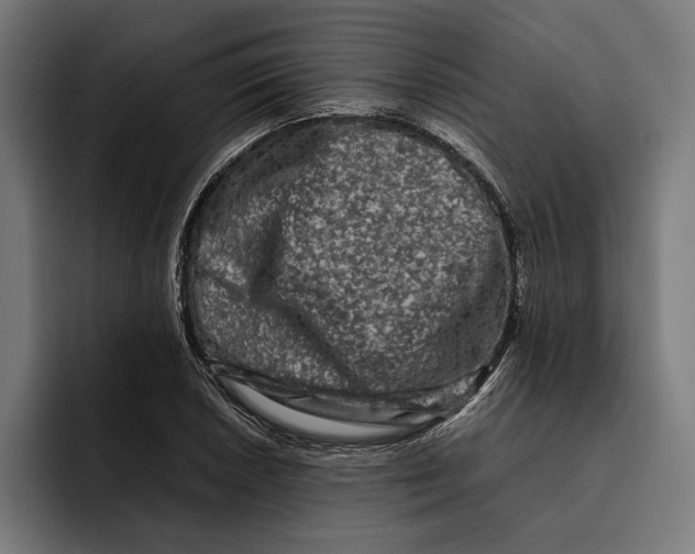 X0000092271026200710121336