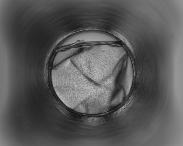 X0000092271027200710121336