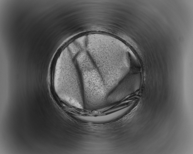 X0000092271028200710121336