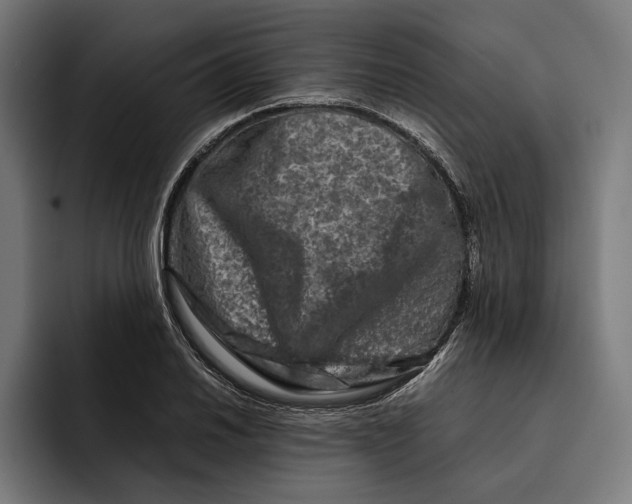 X0000092271030200710121336