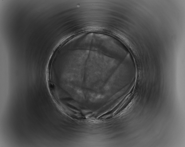 X0000092271034200710121336