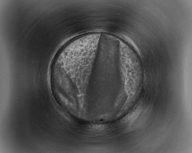 X0000092271035200710121336