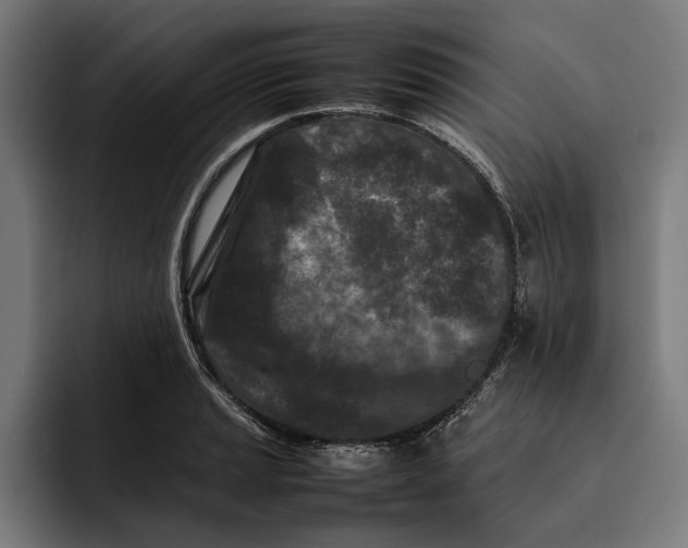 X0000092271037200710121336