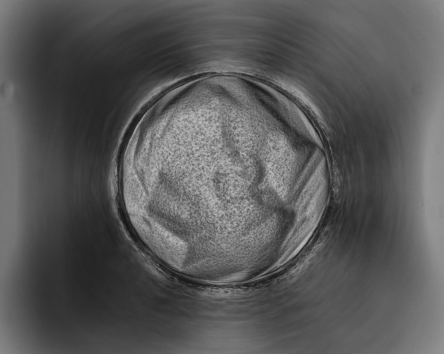 X0000092271040200710121337