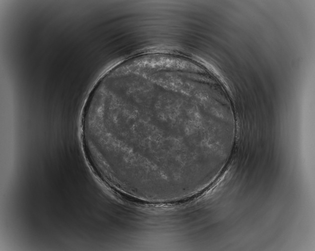 X0000092271042200710121337